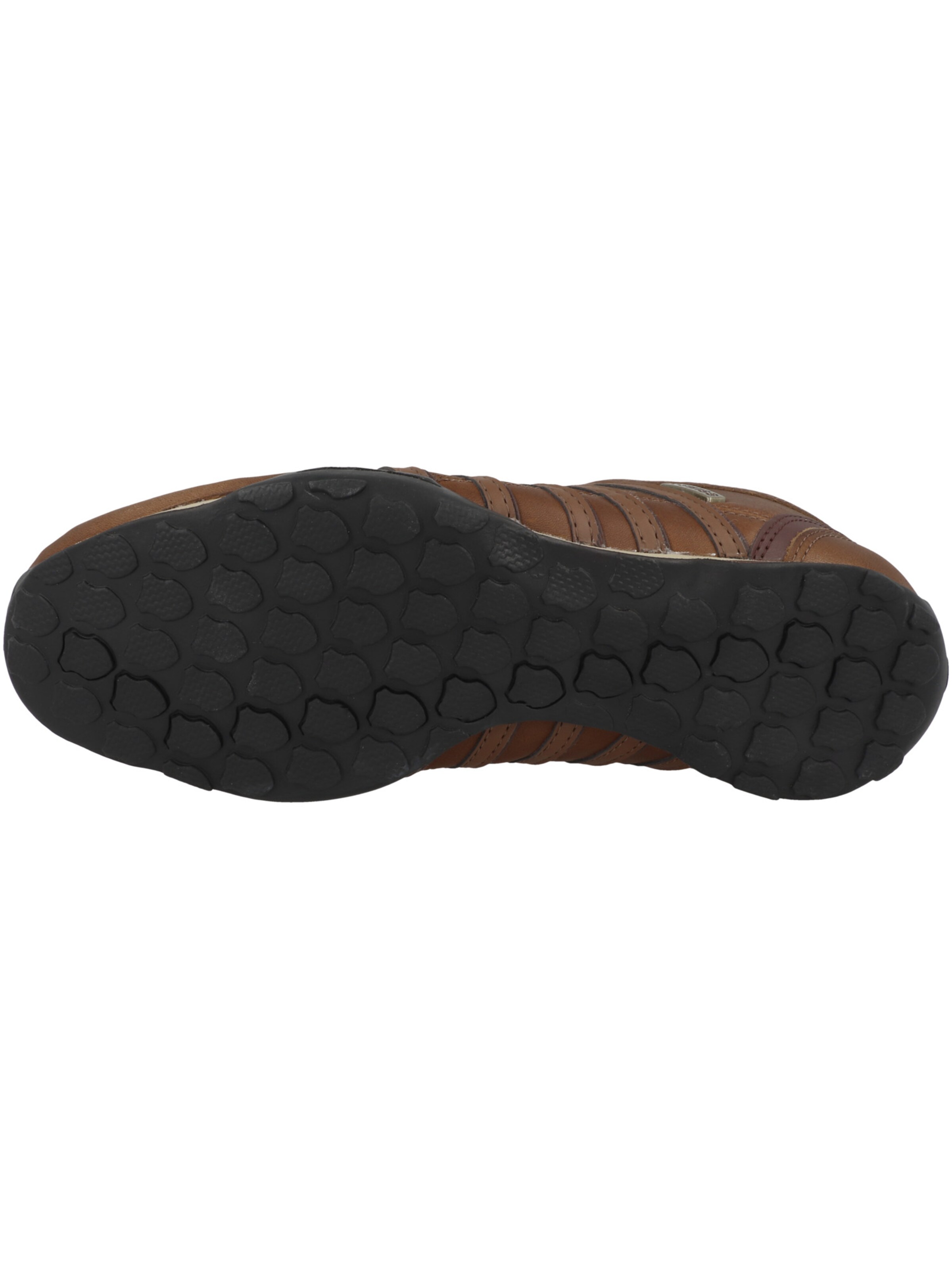 Sneaker bassa 'Arvee 1.5' di K-SWISS in marrone