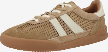 STEVE MADDEN - Sapatilhas baixas ' Verdict ' em castanho: frente