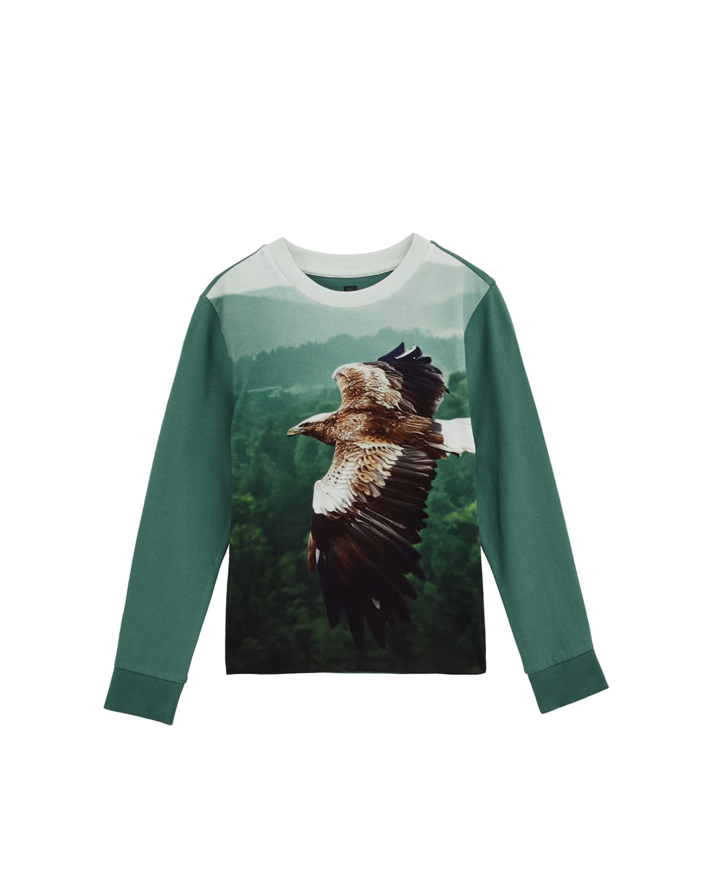 WE Fashion Тениска в зелено: отпред