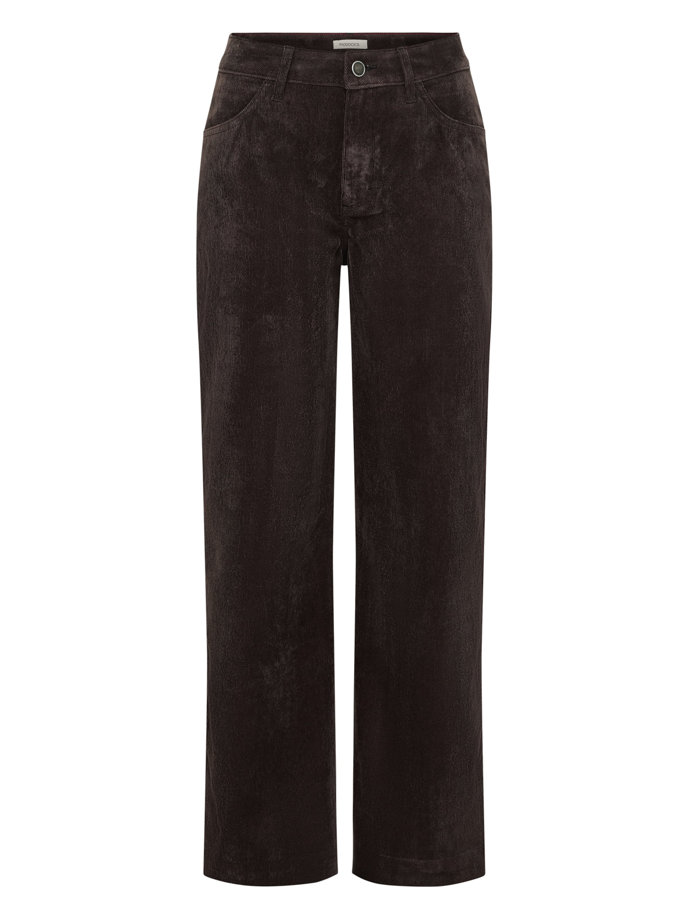 PADDOCKS Pants in Brown: front