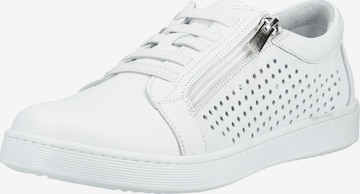 Baskets basses ANDREA CONTI en blanc : devant