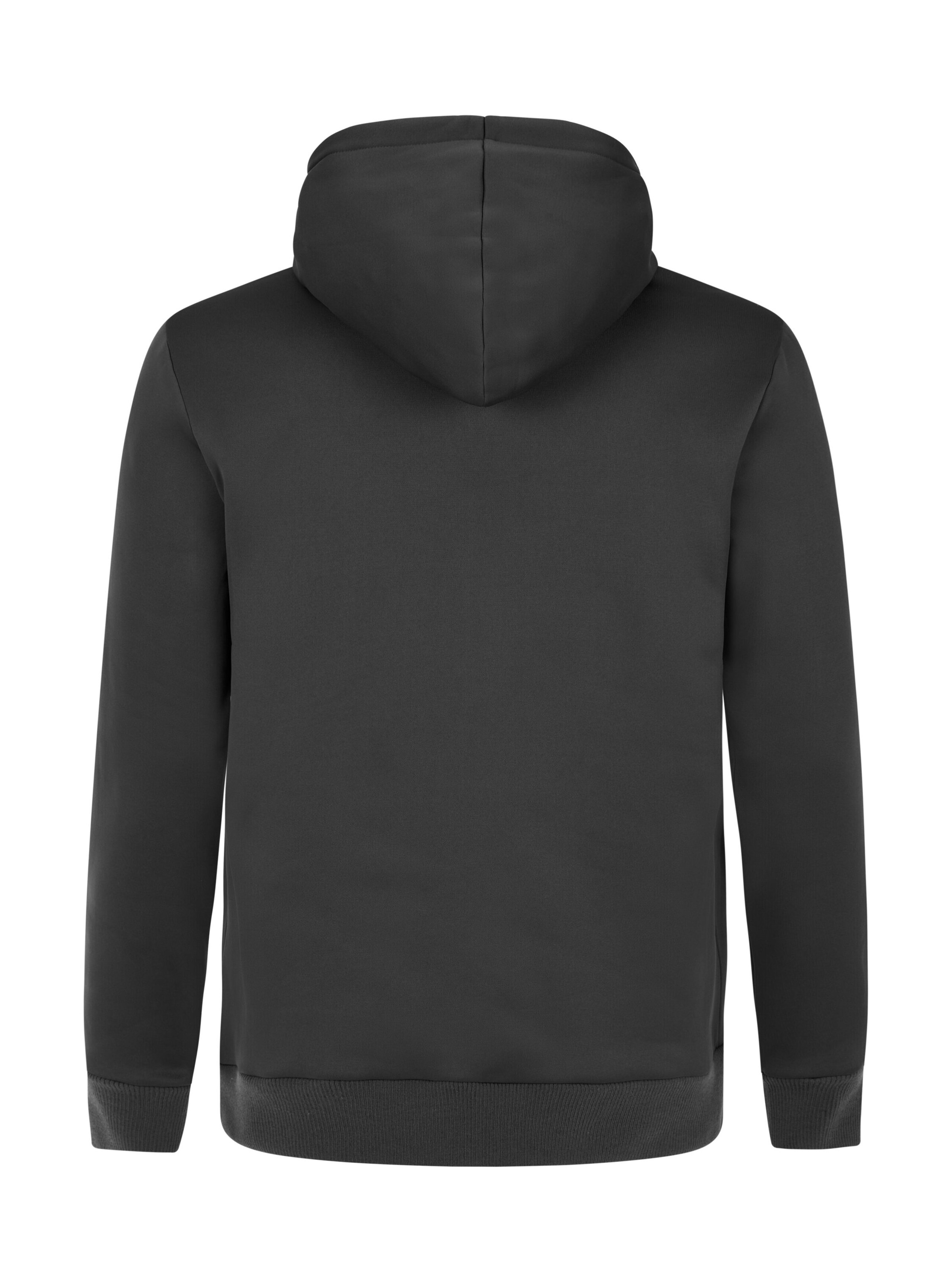 PROTEST Sweatshirt 'PRTKERRA'‌‌‌‌‌‌‌‌ in Grau