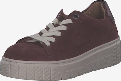 GABOR Sneaker '76.410' in burgunder, Produktansicht
