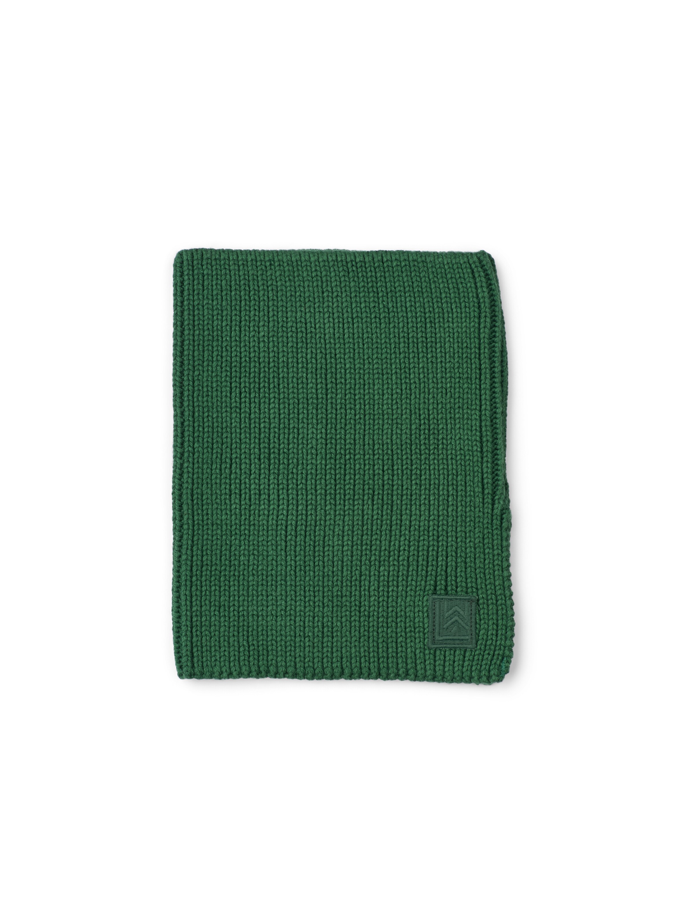 Fular 'Mathias' de la Liewood pe verde: față