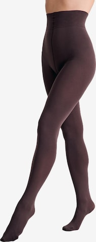 Next Strumpfhose in Braun: Vorderseite