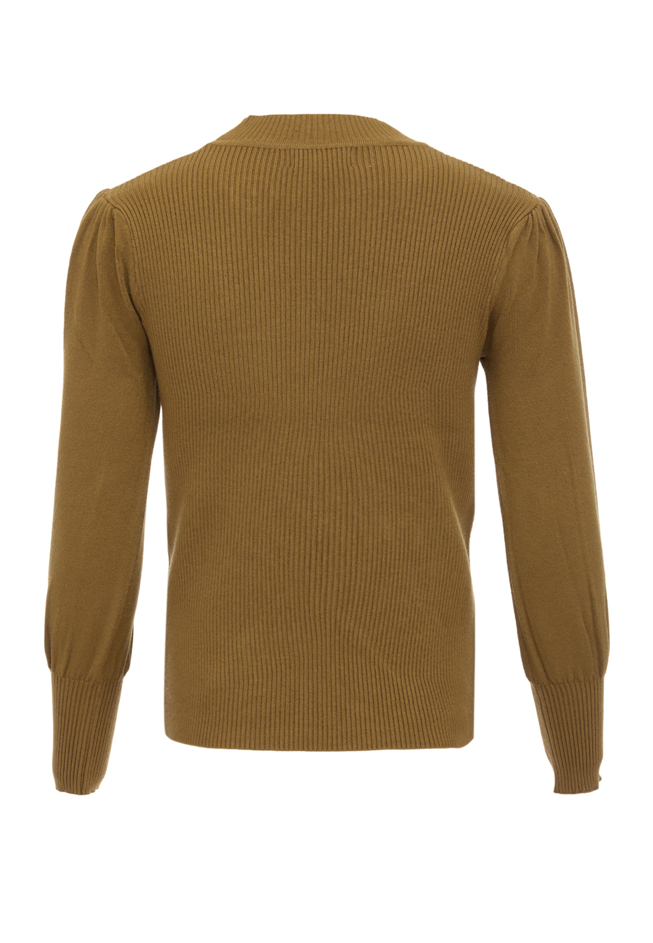 caneva Trui in Groen