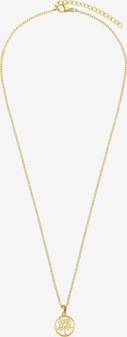 Lucardi Necklace in Gold: front