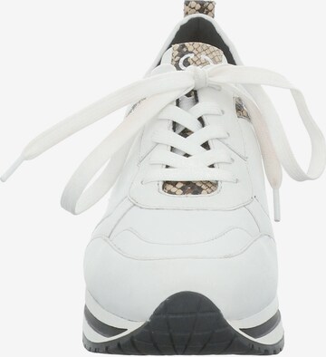 GERRY WEBER Sneaker 'CALIFORNIA 03' in Weiß