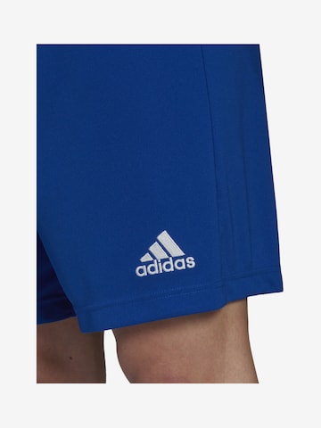 ADIDAS SPORTSWEARregular Sportske hlače 'Entrada 22' - plava boja