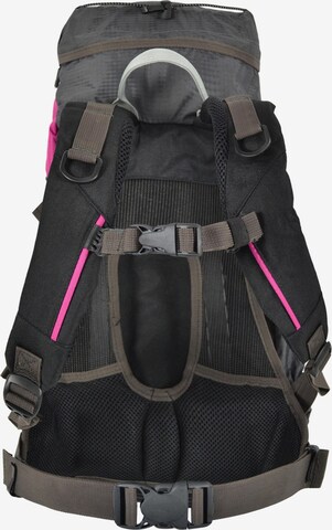 Polar Husky Rucksack  ' Anuk ' in Grau