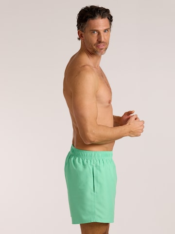 wavebreaker Board Shorts in Green
