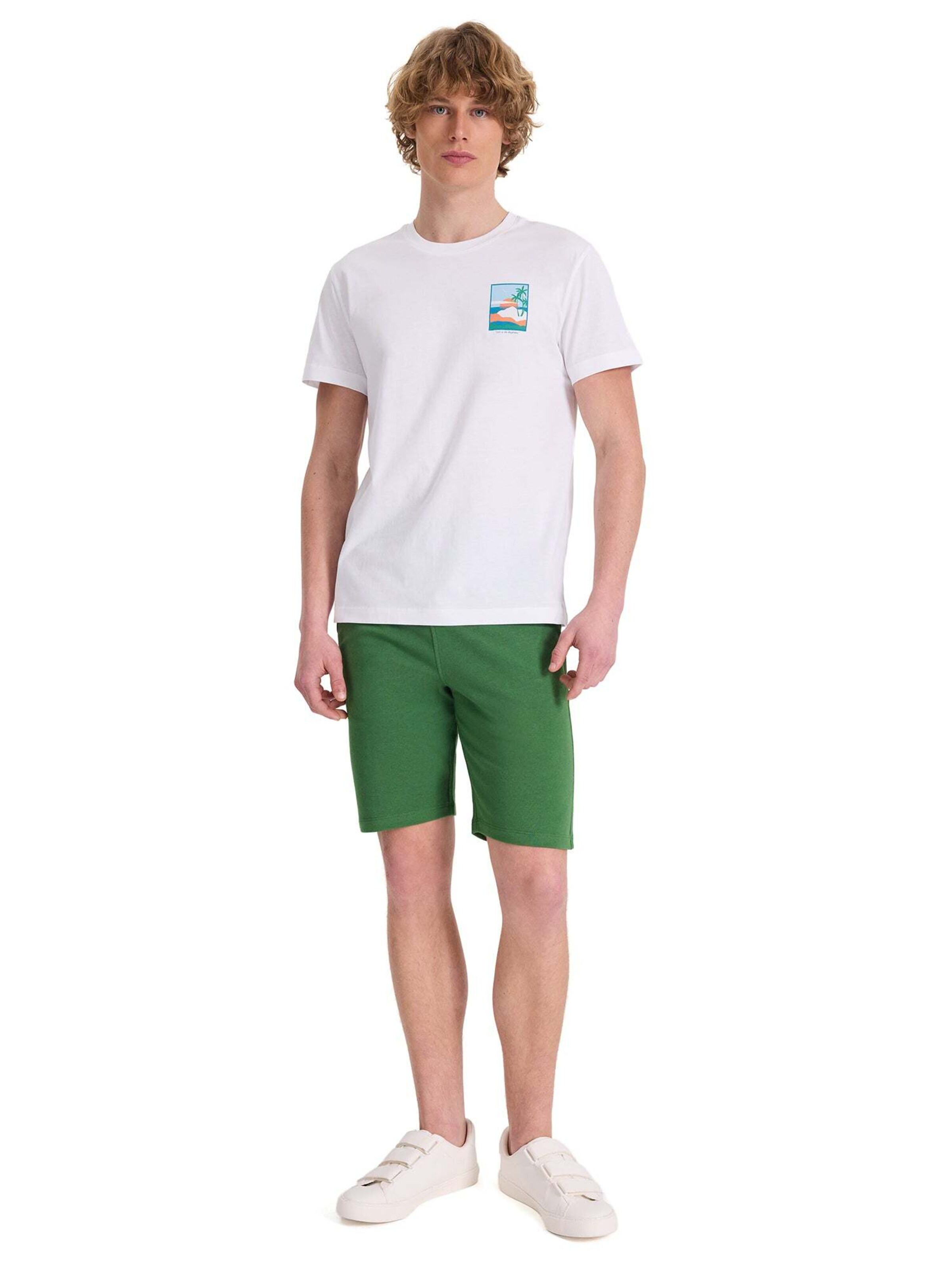 Regular Pantalon WESTMARK LONDON en vert