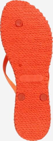 ILSE JACOBSEN T-bar sandals 'Cheerful 01' in Orange