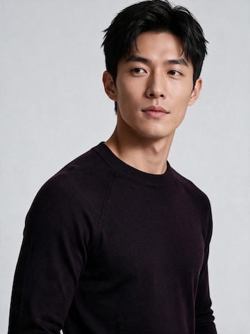 Antioch Slim Fit Pullover in Rot