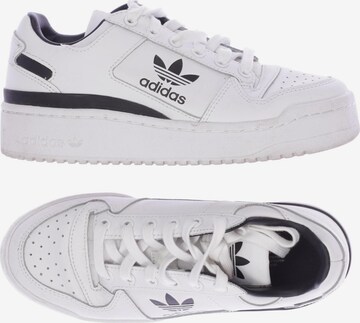 ADIDAS ORIGINALS Sneakers & Trainers in 36 in White: front