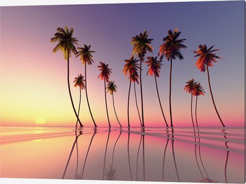 Liv Corday Image 'Coconut Palms' in Grey: front