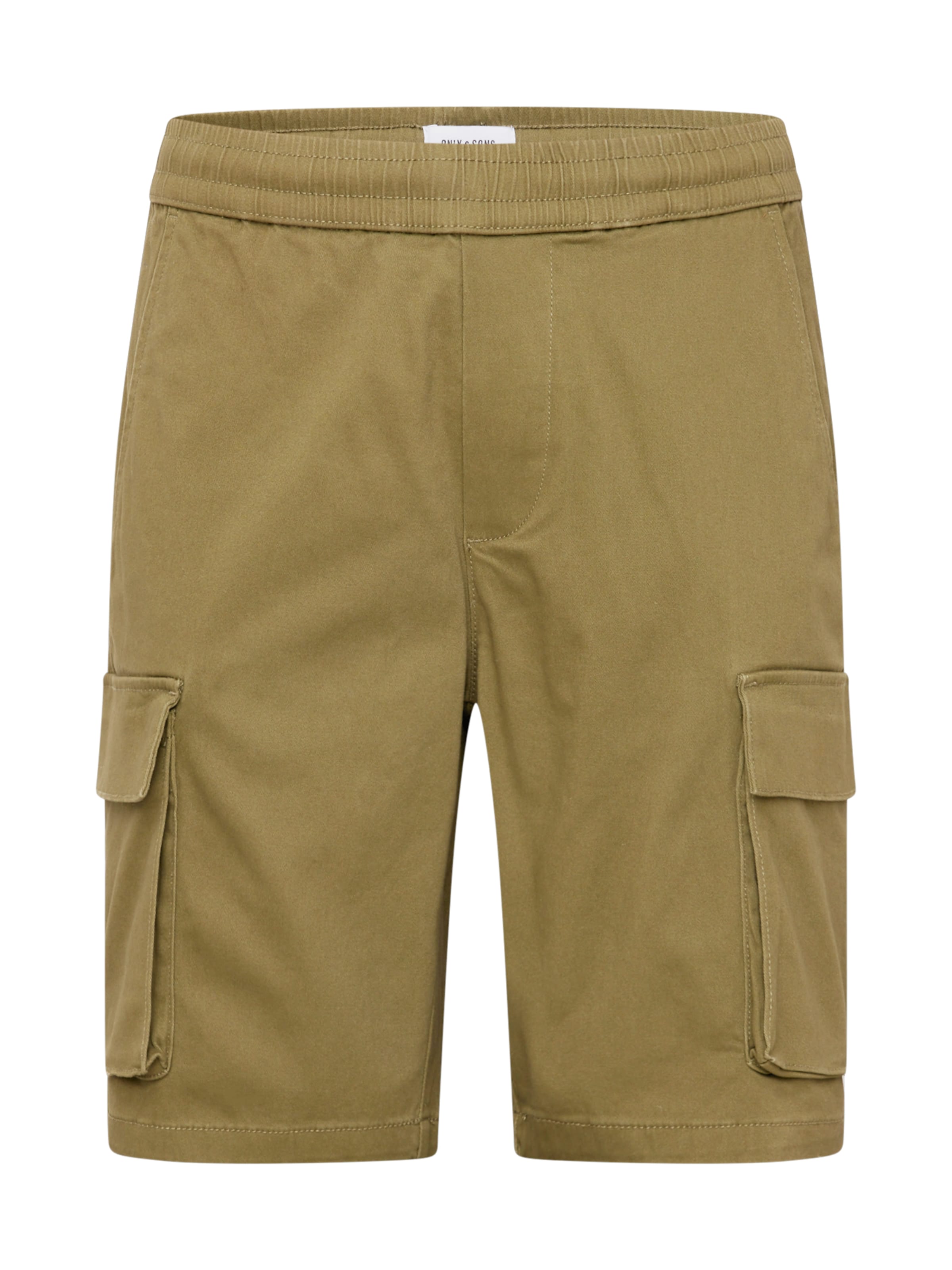 Only & Sons - regular Pantalón cargo 'CAM' en verde: frente