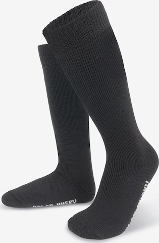 Chaussettes montantes Polar Husky en noir : devant