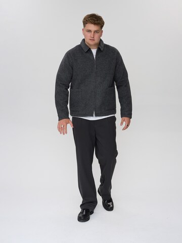 Veste d’hiver 'DXFynballa' Dxnmxrk en gris