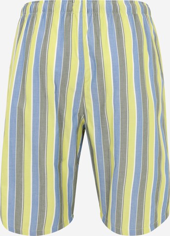 Pantalon de pyjama SCHIESSER en mélange de couleurs