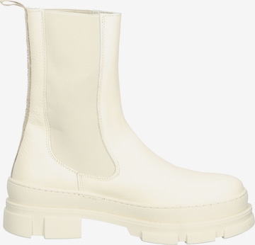 STEVE MADDEN Chelsea boots in White