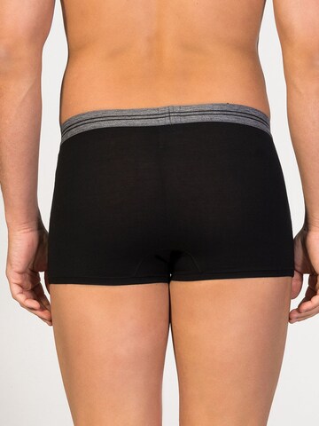 zd ZERO DEFECTS Boxer shorts 'Athens Trunk' in Black