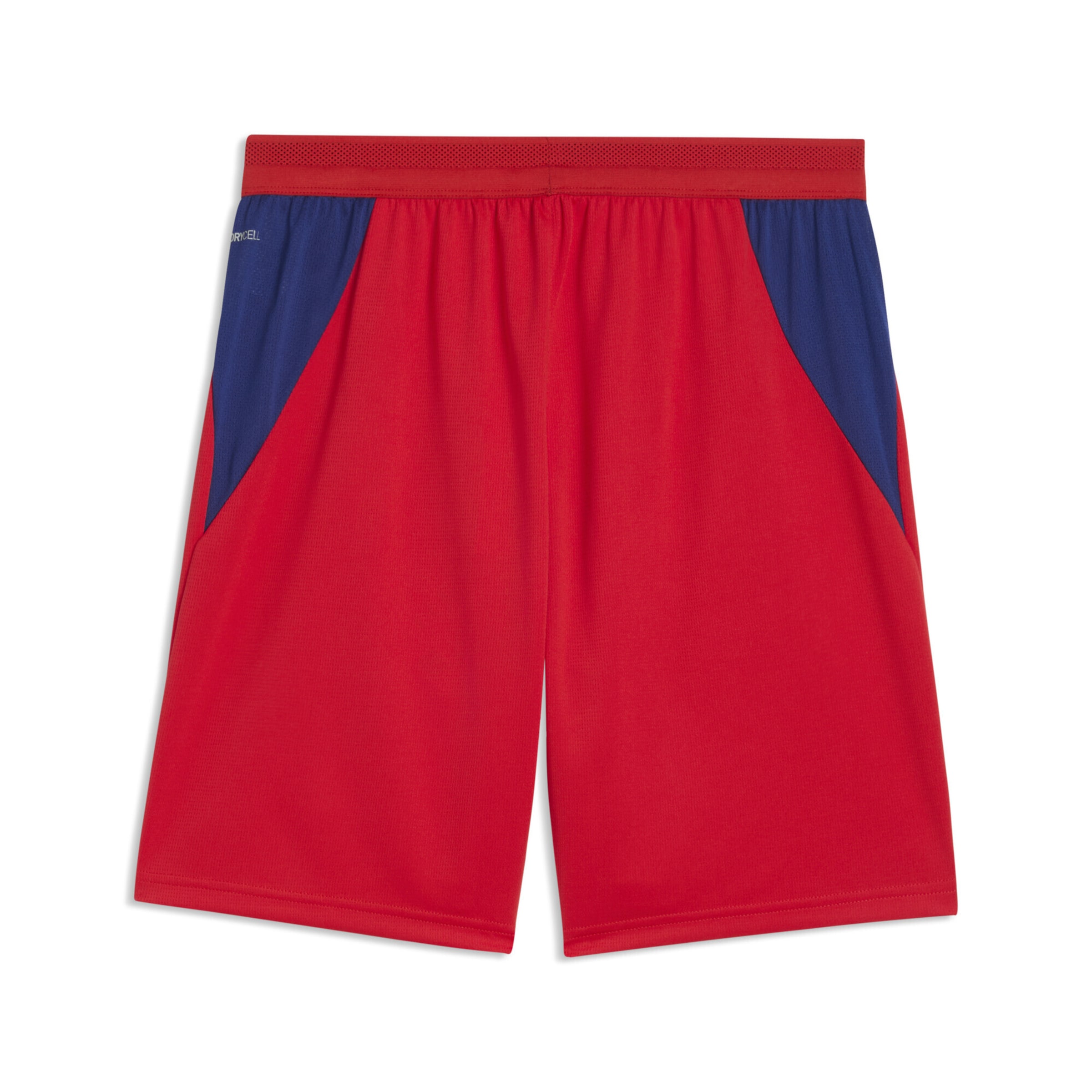PUMA Regular Workout Pants 'RB Leipzig 26/27' in Red