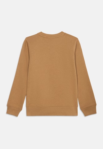 Calvin Klein Jeans - Sudadera en marrón: atrás