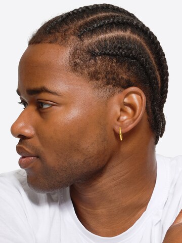 Boucles d'oreilles 'Laeca' Heideman en or : devant