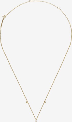 P D PAOLA Necklace in Gold