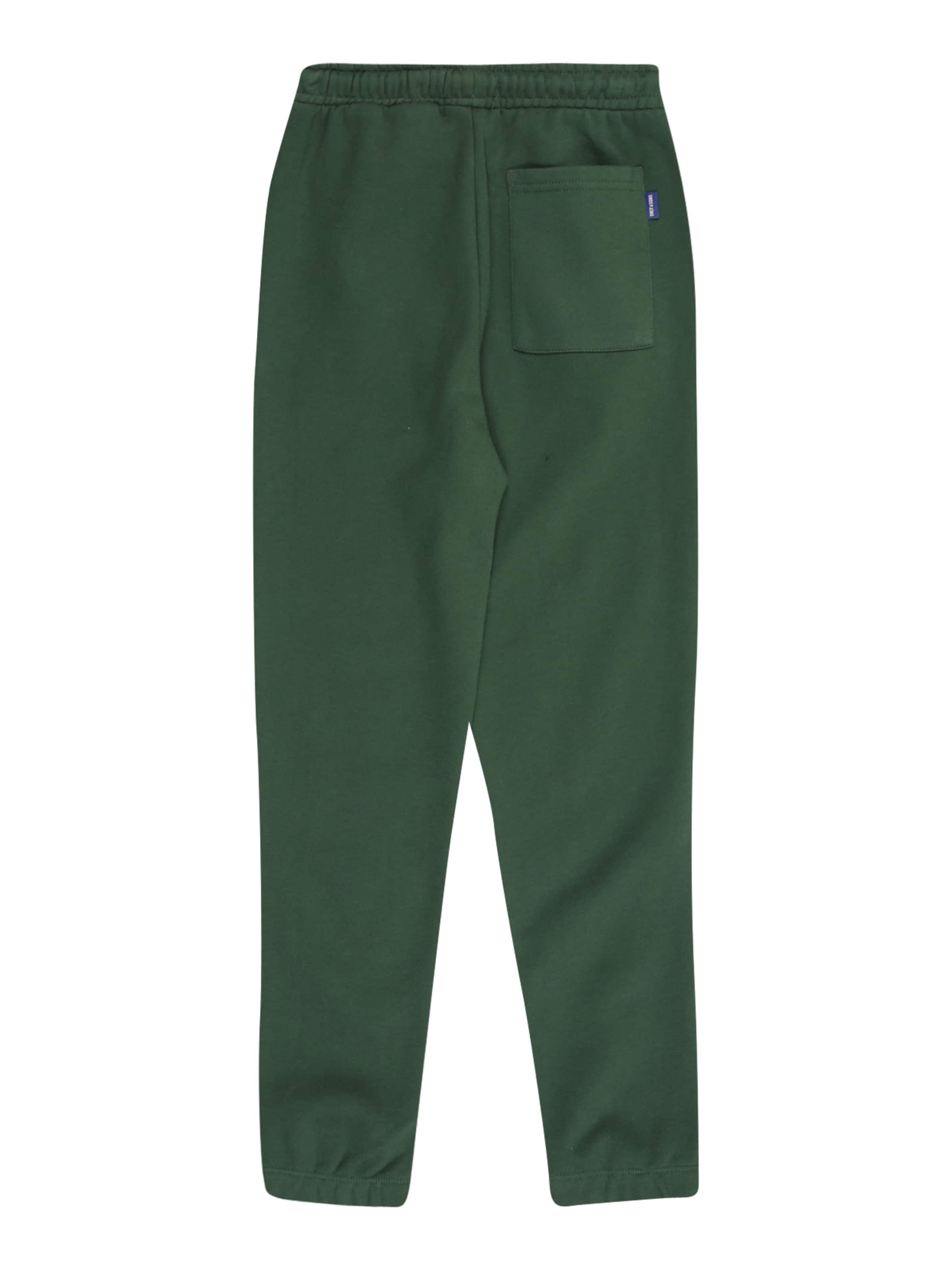 Only & Sons Junior Конический (Tapered) Штаны 'OSJCURATED' в Зеленый