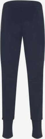 Raffaello Rossi Tapered Pants in Blue