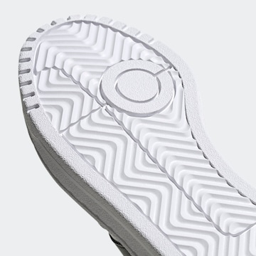 ADIDAS ORIGINALS - Zapatillas deportivas ' Team Court Schuh ' en blanco
