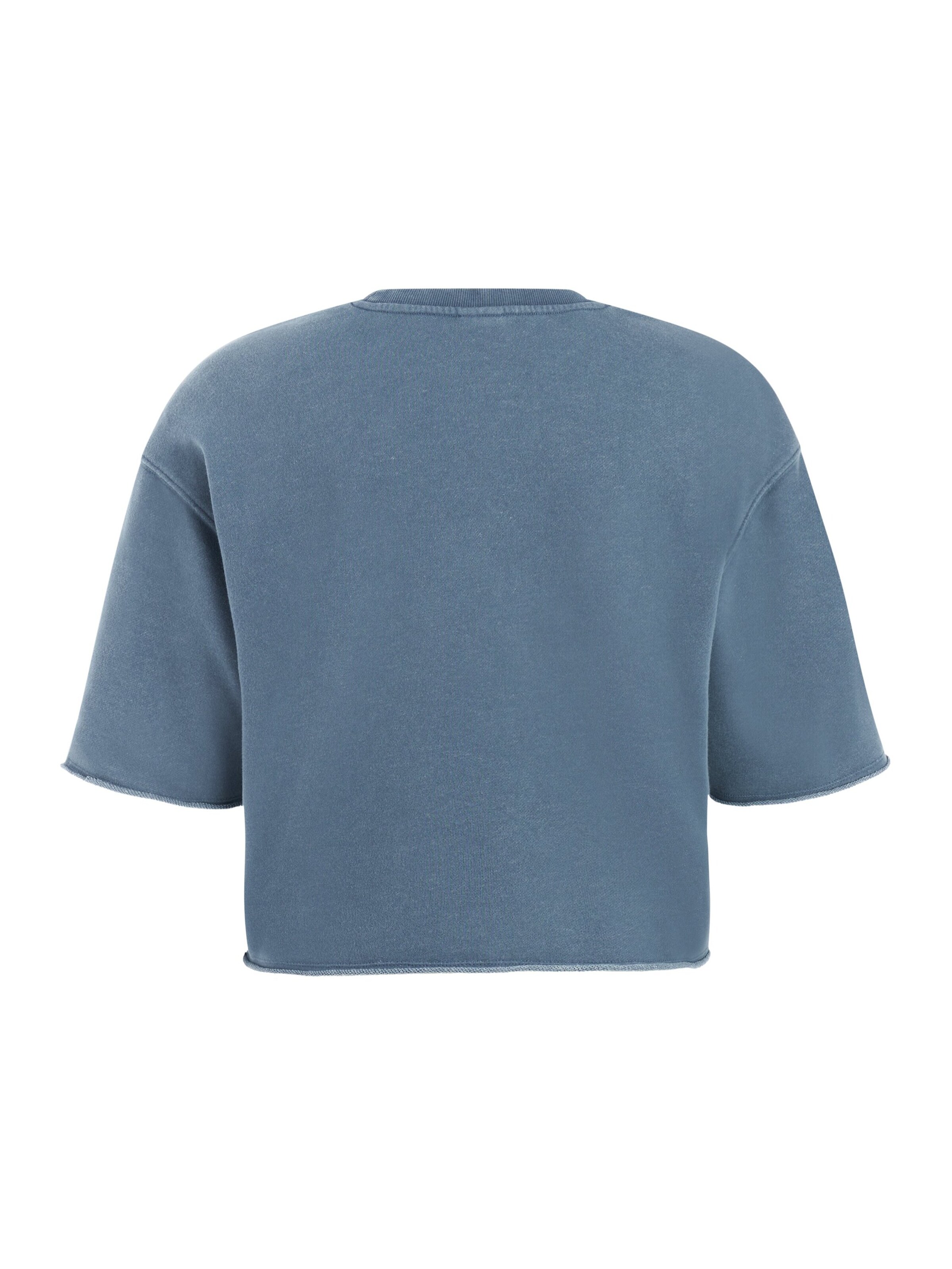 PROTEST Shirt 'PRTMayte' in Blue