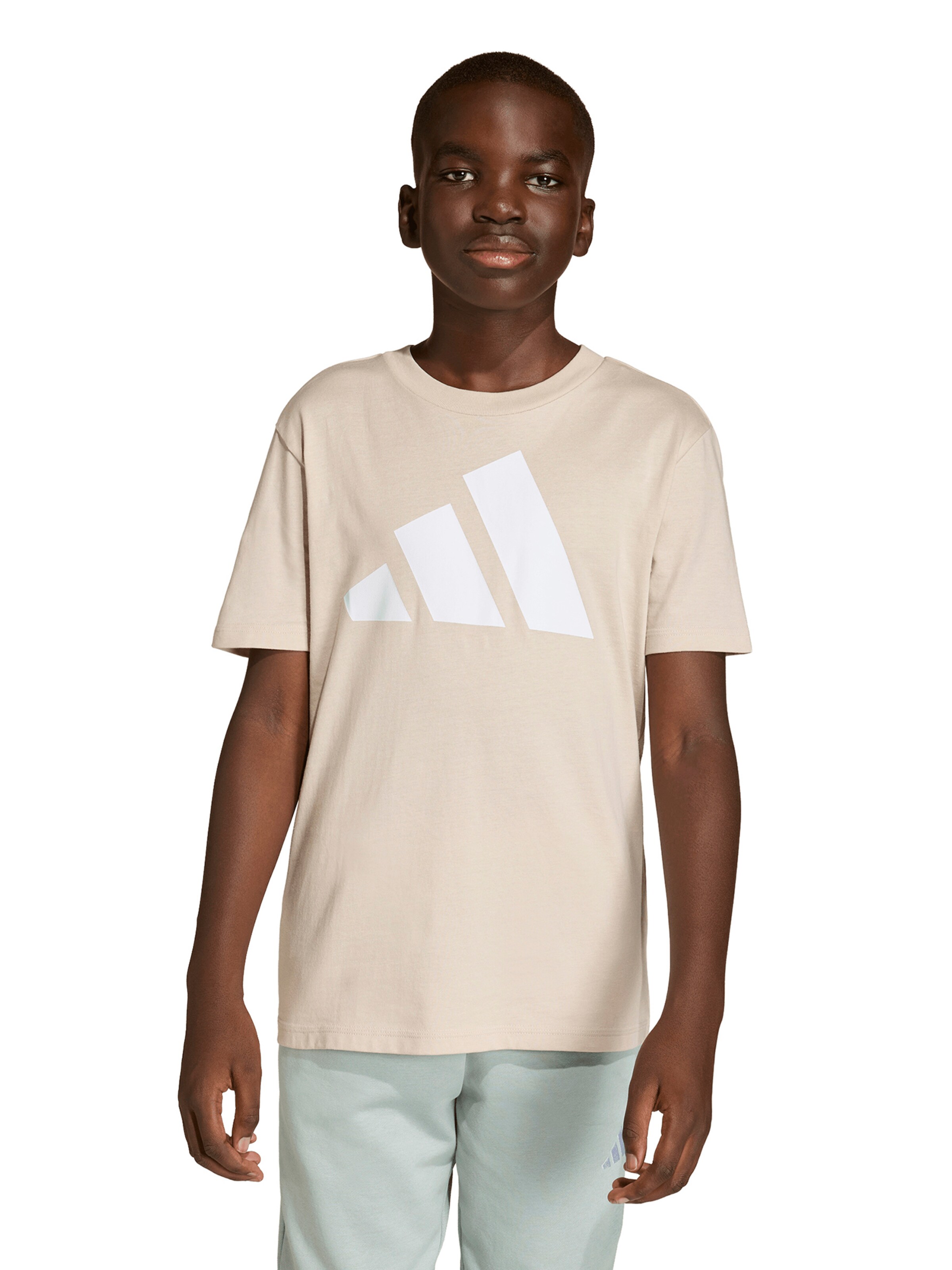 ADIDAS SPORTSWEAR Funkcionális felső 'Essentials' - szürke: elől