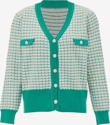 NAEMI Knit Cardigan in Green: front