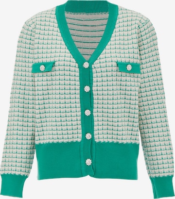 NAEMI Knit Cardigan in Green: front