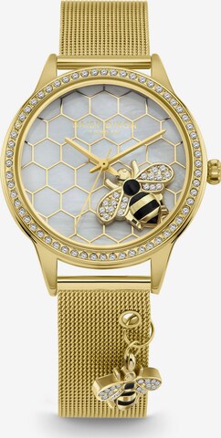 DAISY DIXON Analog Watch in Gold: front