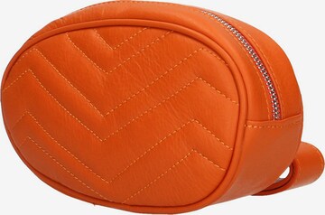 Gave Lux Gürteltasche in Orange: predná strana