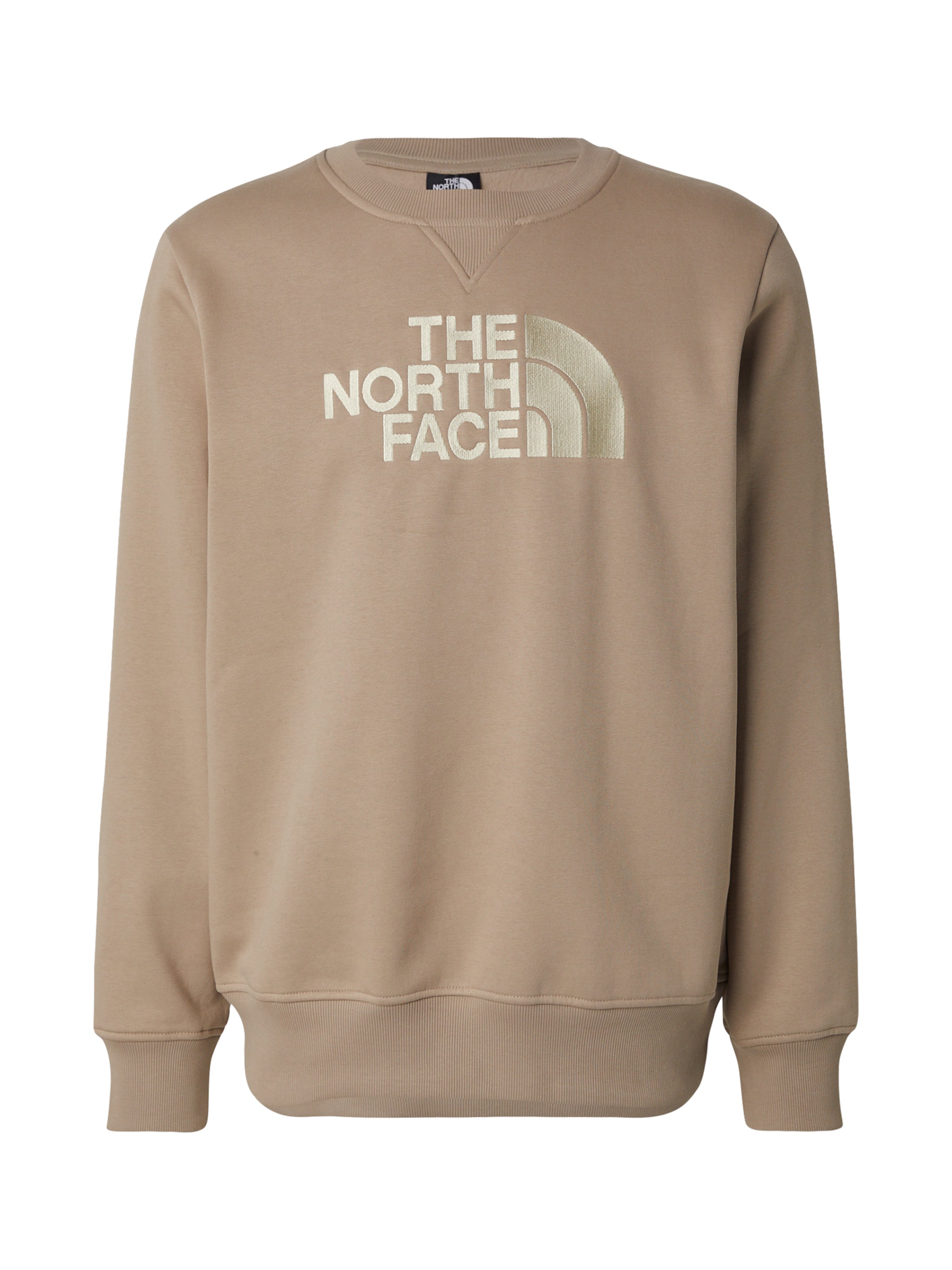 Felpa 'DREW PEAK' di THE NORTH FACE in grigio: frontale