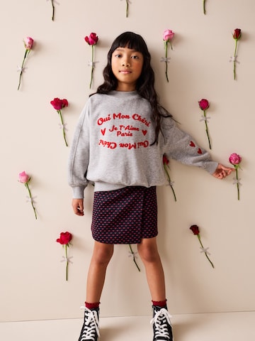 Next Sweatshirt in Grau: Vorderseite