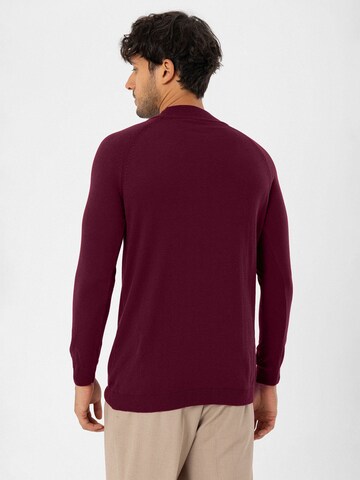 Dandalo - Jersey en rojo