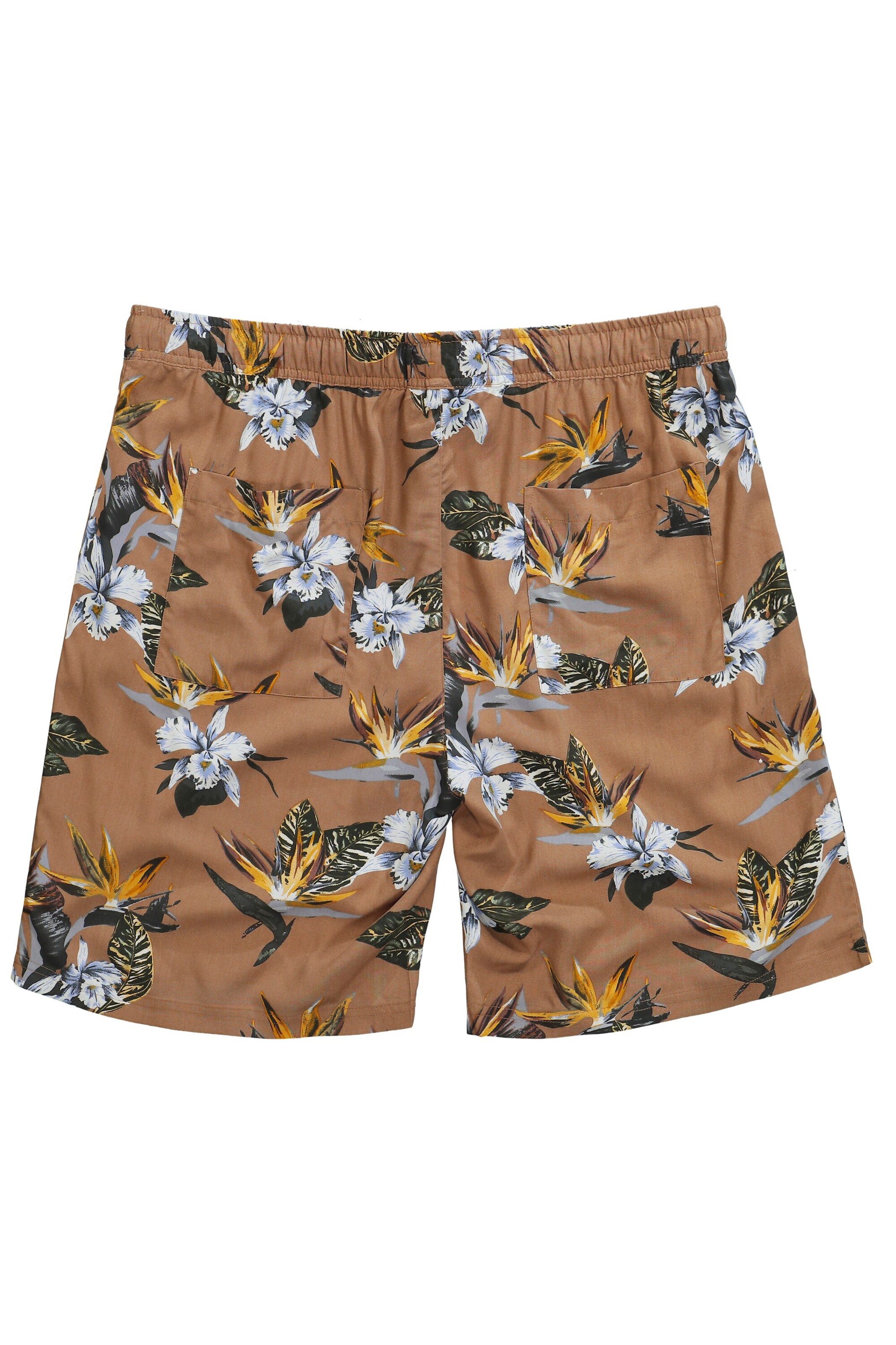 JP1880 Regular Broek in Bruin