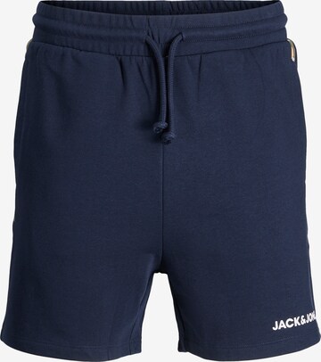 JACK & JONES Pants 'Pete' in Blue: front