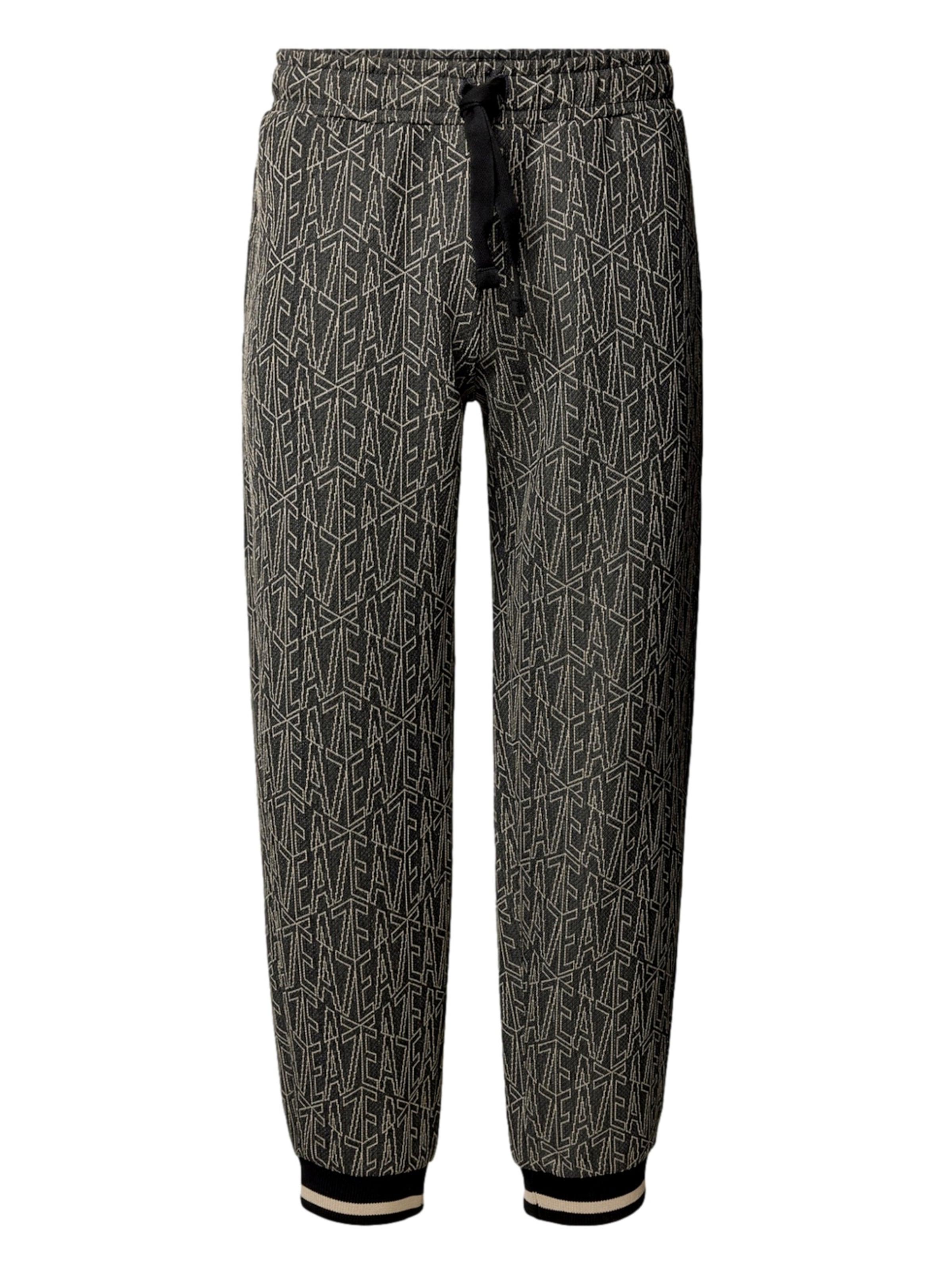 Tapered Pantaloni di EA7 Emporio Armani in nero: frontale