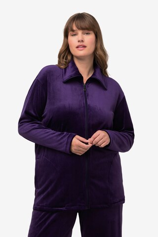 Veste de survêtement Ulla Popken en violet : devant