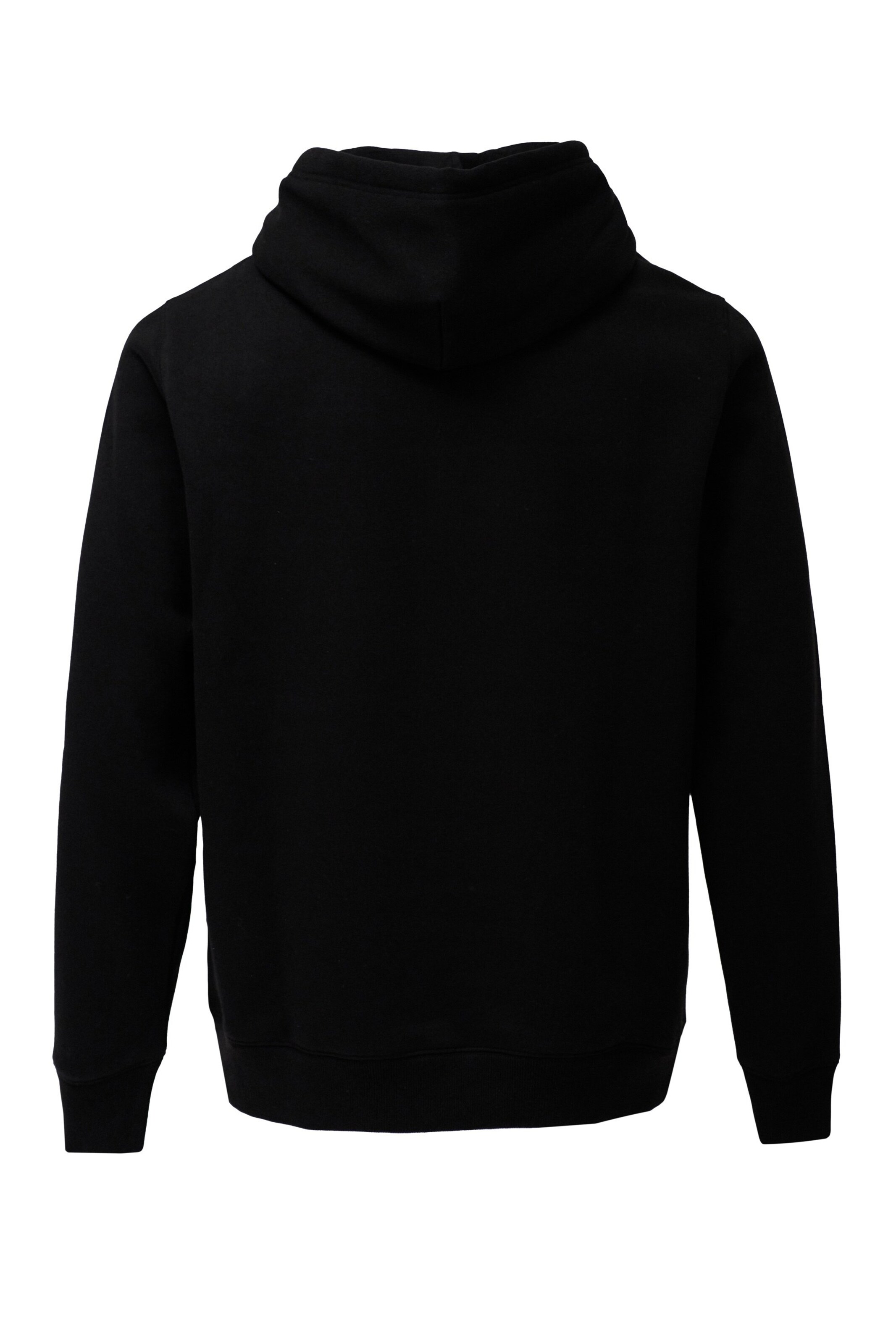 Salsa Jeans Sweatshirt in Schwarz