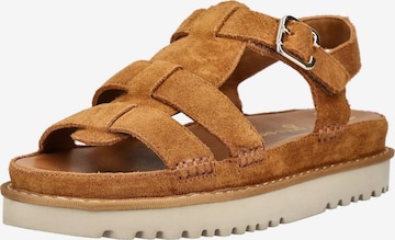 Paul Green Sandalen met riem in Bruin: voorkant