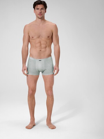 Ammann Boxershorts ' Close To You ' in Grijs