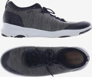 GEOX Sneakers & Trainers in 38 in Black: front